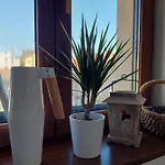 Apartman Emily *