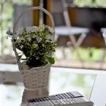 Apartman Emily Kassa