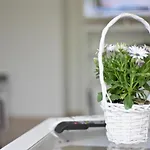 Emily Apartman Kassa