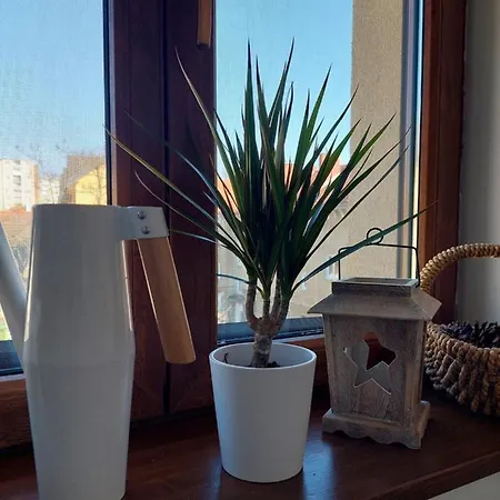 Апартаменты Emily *