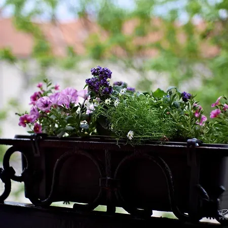 Апартаменты Emily Кошице