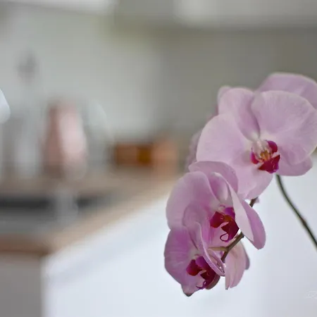 Апартаменты Emily Кошице